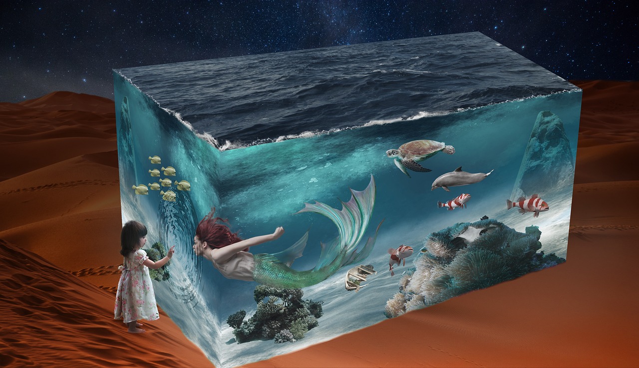 最新鱼缸造景，梦幻海洋世界的打造指南