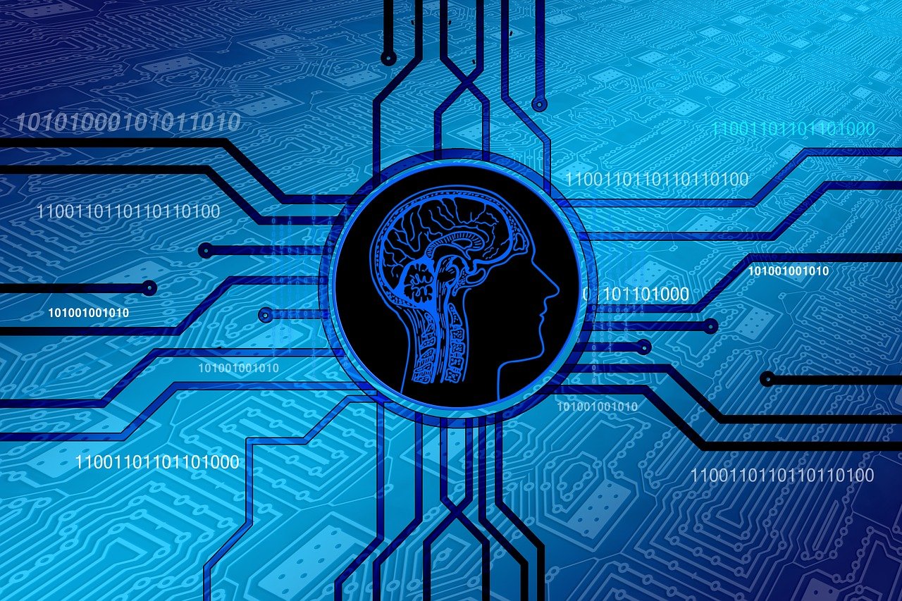 西窗最新版，重塑数字阅读与社交体验