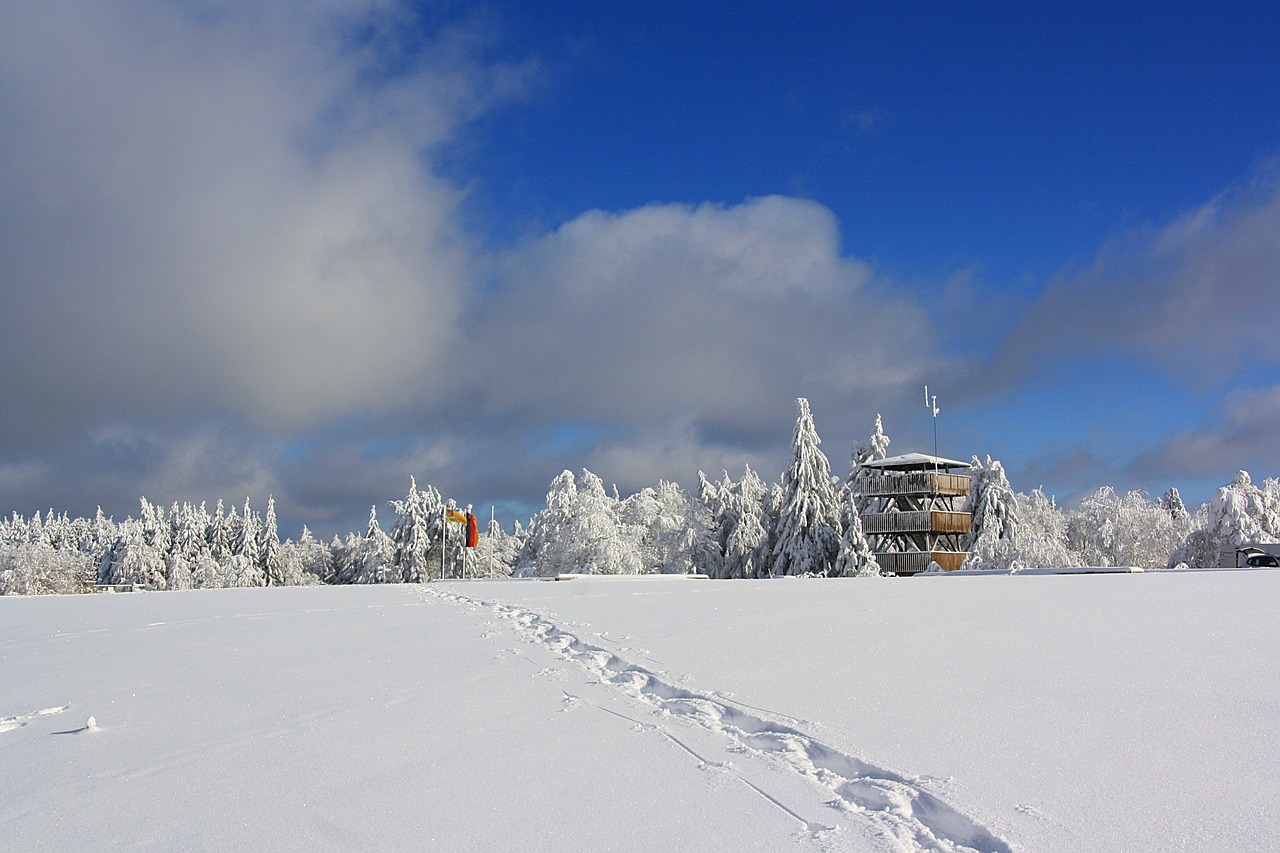 岳麓山迎冬日雪景，美丽奇迹展现山麓白雪最新报道