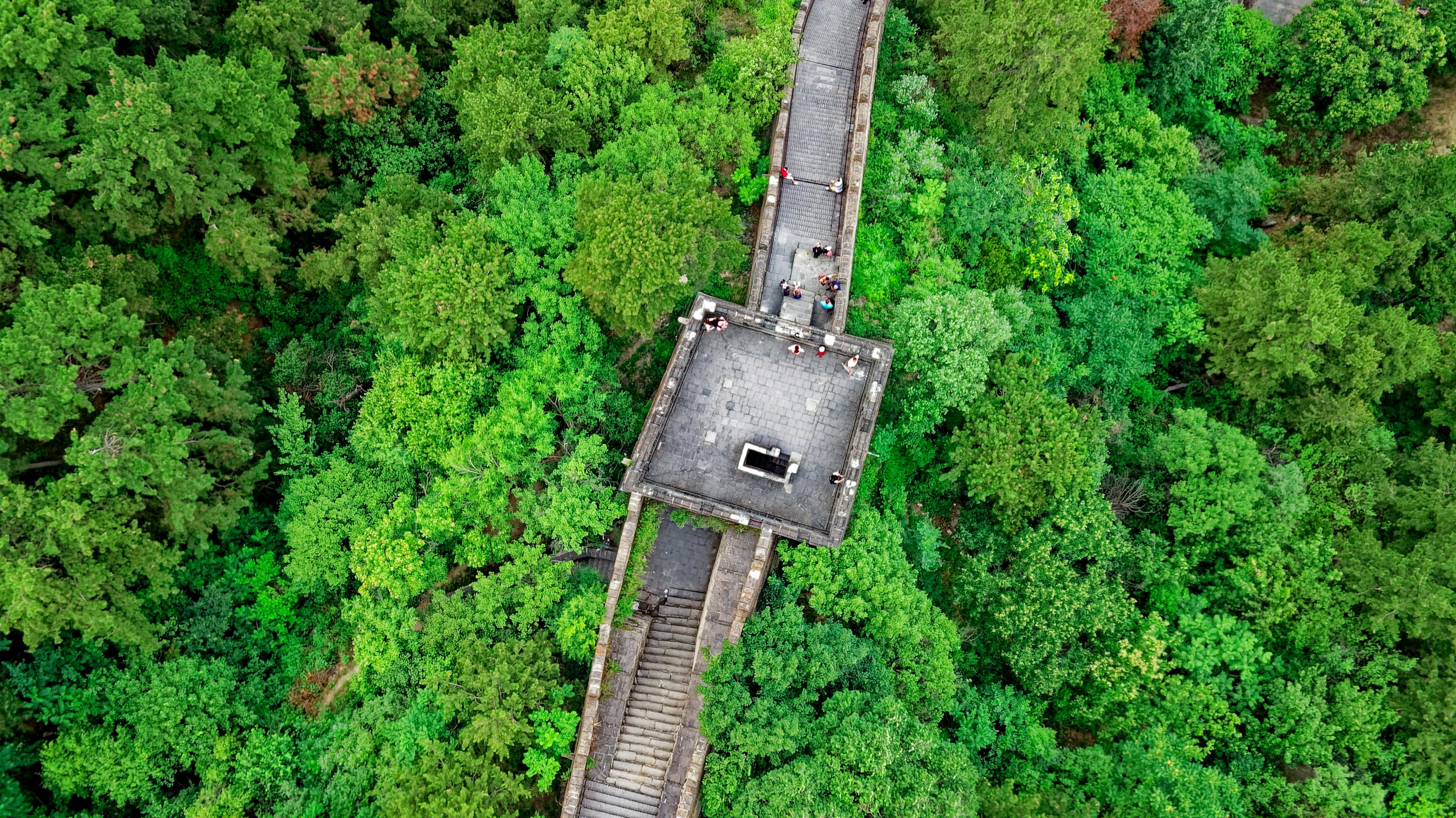 春浓路最新动态揭秘，一条生机盎然、充满希望的道路探索