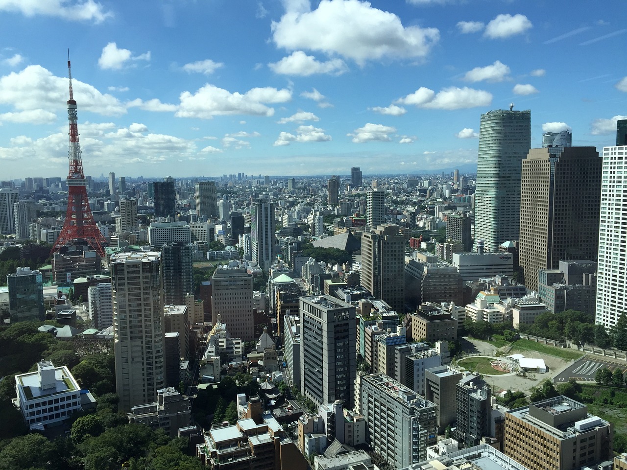 美国大选最新趋势及分析